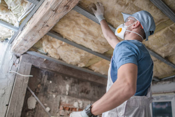 Best Geographic-Specific Insulation Services in Garden Plain, KS